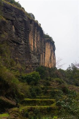 Wuyishan National Nature Reserve: Enchanting Mountains and Ancient Tea Plantations!