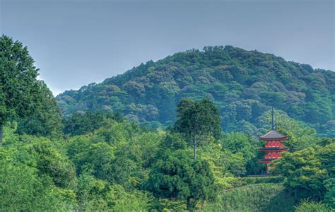 Gansong Temple: En historisk pärla mitt i Haidongs bergiga landskap!