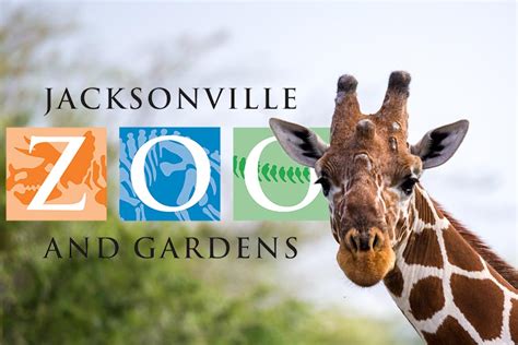 The Jacksonville Zoo and Gardens: Enchanting Encounters with Wildlife and Lush Botanical Wonders!