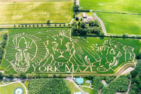 The York Maze: En Vändning Riktning & Ett Utmanande äventyr!