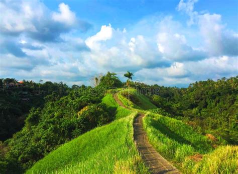  Wushen Banner National Forest Park – Ett grönt paradis för den äventyrlige själen!